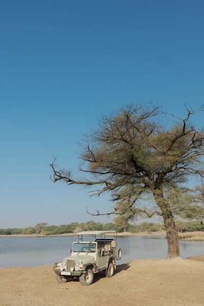 Embark on a village safari in a vintage Land Rover. Photo: Mihir Garh