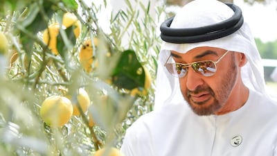 Sheikh Mohamed bin Zayed. Dubai Media Office / Wam