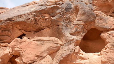 A picture taken in February 2018 shows carved sculptures of a donkey facing the partial head of a camel at the site of an archaeological discovery about eight kilometres north of the city of Sakaka in Saudi Arabia's northwestern Jouf province. AFP