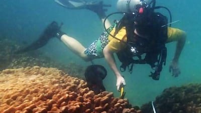 John Burt, associate professor of biology at New York University Abu Dhabi, has studied the region’s seas for the past 15 years. Photo: Joerg Wiedenmann