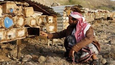 A beekeeper inspects his hives in Wadi Zabid, Yemen. Ryan Carter / The National