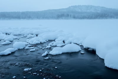 Arctic Sweden this winter. Jamie Lafferty