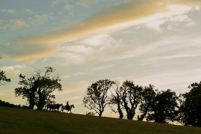 The series goes from sophomoric comedy to gripping drama as it progresses. Photo: HBO