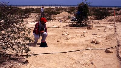 Early excavations at the Sir Bani Yas monastery in 1995. Courtesy Department of Culture and Tourism Abu Dhabi
