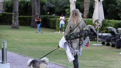Dubai Marina has some pet-friendly areas where owners can walk their pets on a leash.