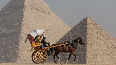 A horse-drawn cart in front of the plateau in Giza. Reuters