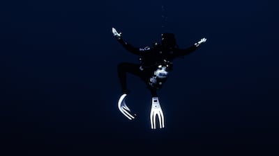 Evan Friedman from the USA won a bronze in the People and Nature category. He took a picture of a giant Oceanic Manta Ray in the Revillagigedo Archipelago, Mexico