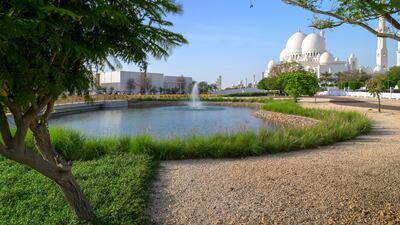 The view from outside the Majlis Mohamed bin Zayed.