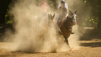 Horses from Hyde Park Stables in central London surrounded by clouds of dust on Thursday. The Met Office, the UK's weather service, issued an amber extreme heat warning for southern and central England. Getty Images