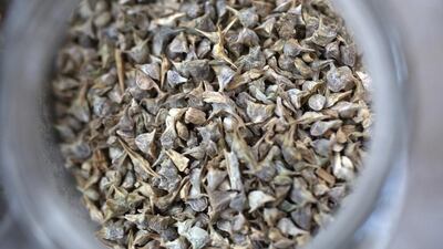 Sansour has been collecting heirloom seeds and running workshops once a month with teachers in the Bethlehem area. She has encouraged the students to carry out an oral history project — recording stories on video with their elders about their growing methods and the diversity of crops they grew in the past, while also collecting heirloom seeds discovered during the process.