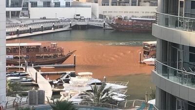 The waters of Dubai Marina turned orange on Thursday. Courtesy Stewart Clarke
