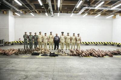 Thousands of ivory tusks and other contraband seized by Dubai Police are handed over to the Ministry of Climate Change and Environment to be destroyed. Courtesy Dubai Police