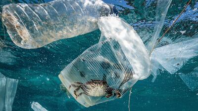 Abu Dhabi has decided to gradually ban single-use plastic over the course of two years. EPA
