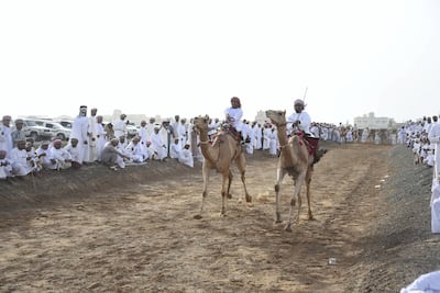 Crowds gather for the camel races. Courtesy David Ismael