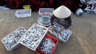 A woman packages freshly caught fish at a portin Dongfang on the western side of Hainan, China's gateway to the South China Sea. John Ruwitch / Reuters