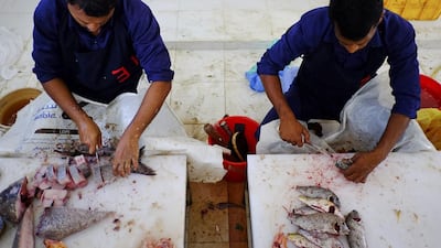 Fish stocks have plummeted over recent years. Antonie Robertson / The National