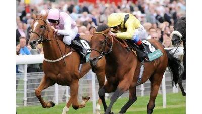 Opinion Poll, in centre, has improved on his reputation as the best British stayer. John Giles / PA