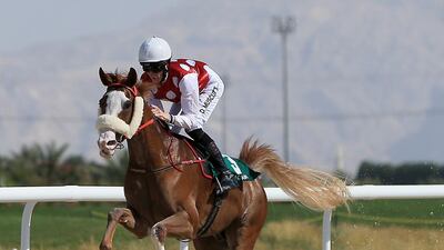 Madjanthat was the star of the show at the Al Ain Racecourse, edging his rivals to victory in the 1600 metres handicap. Ravindranath K / The National