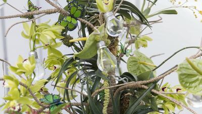 Floral arrangements by Ilona OoStenveld, from the Netherlands, at Dubai International Flower Festival. Reem Mohammed / The National