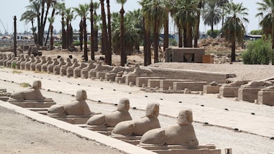 The Avenue of Sphinxes, a 2,700-metre corridor that connects Karnak Temple Complex and Luxor Temple, will be reopened to the public this year. Reuters