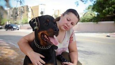 Anna Kuznetsova with Rufus, 6, who has a damaged back leg. Anna takes care of six dogs while also working full time as an interior designer. She is looking after Rufus while the Dubai Senior Dog Project finds him a full-time home, possibly with an older couple. Lee Hoagland / The National