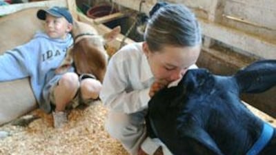 Hannah Iwerseren, 10, of Middleton, Idaho, kisses her Holstein cow named Daisy as Josh Kratzberg, 10, of Caldwell, Idaho, rests on his sister's show cow named Mocha.