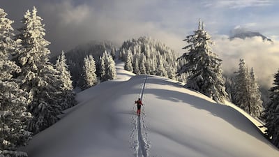 A skier follows a track towards Chimmispitz mountain, in St Margrethenberg, Switzerland. EPA