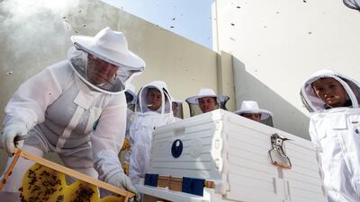 Pupils are learning how crucial bees are to the global ecosystem.
