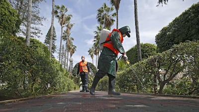 Palestinian municipal workers spray disinfectant on a Gaza City Park. AFP