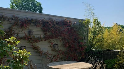 Buying a property means outfitting it with furnishings and a strong dollar makes that possible. Photo: David Decker