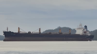The Ocean Winner was carrying 72,100 tonnes of iron ore fines. Photo: Vesselfinder