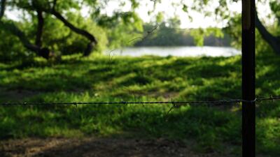 A spiderweb forms on a rusty fence on Mr Lerma's property outside of Brownsville, Texas.
