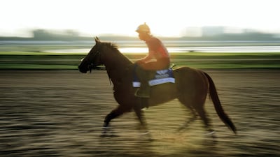 Eragon competed in the Pegasus World Cup in Florida this year. Cliff Hawkins / Getty Images