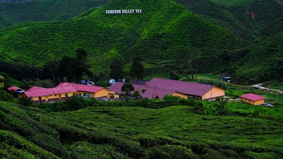 Cameron Highlands, Pahang, Malaysia. Masdar projects in Pahang on the east coast of Malaysia will include clean energy technologies. Bloomberg