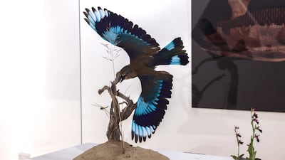 Indian Roller Coracias benghalensis, a species of a vibrantly coloured bird found in the UAE, mounted here with a dragonfly. All Photos: Victor Besa / The National