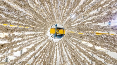 Hassan Sharif's Cotton Rope. Courtesy Estate of Hassan Sharif and Gallery Isabelle