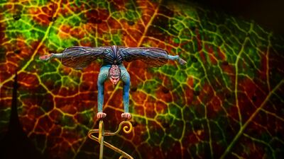 The solo contornionist seamlessly slides in and out of various stage props