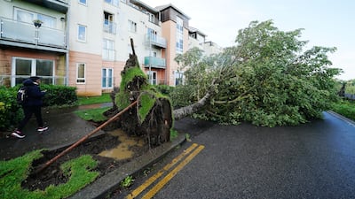 A fallen tree on Thornleigh Road in Swords, Dublin, after Storm Agnes hit Ireland. PA