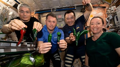 From left, astronauts Mark Vande Hei, Shane Kimbrough, Akihiko Hoshide and Megan McArthur pose with chilli peppers grown aboard the International Space Station. Photo: Nasa via AP