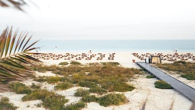 The shoreline at the Saadiyat Island hotel