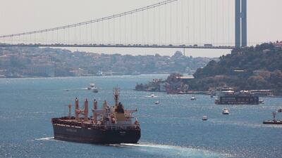 Maltese-flagged bulk carrier 'Rojen' arrives in Istanbul, Turkey, on Sunday. The ship was carrying Ukrainian grain. Reuters