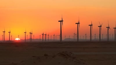 Saudi Arabia is expected to tender up to 800MW of wind capacity this year. Victoria Hazou / The National