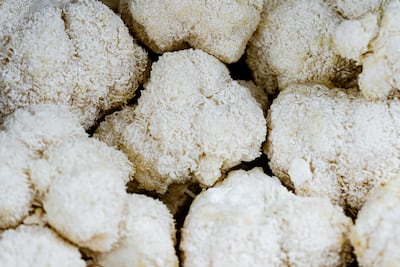 Functional mushrooms such as lion's mane are being used in bottled drinks, coffees, smoothies and teas. Photo: Unsplash