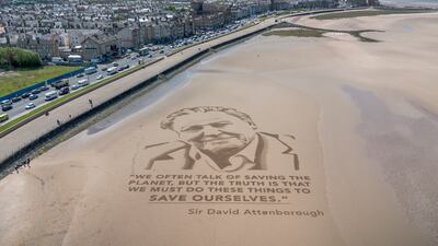 Sand art on Morecambe Beach, England, to celebrate Sir David Attenborough's 100th birthday. Getty Images