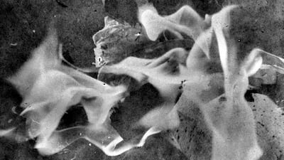 Daisuke Yokota, 'Untitled', 2016. From the series 'Matter/Burn Out', 2016. Photo: Daisuke Yokota / Prix Pictet