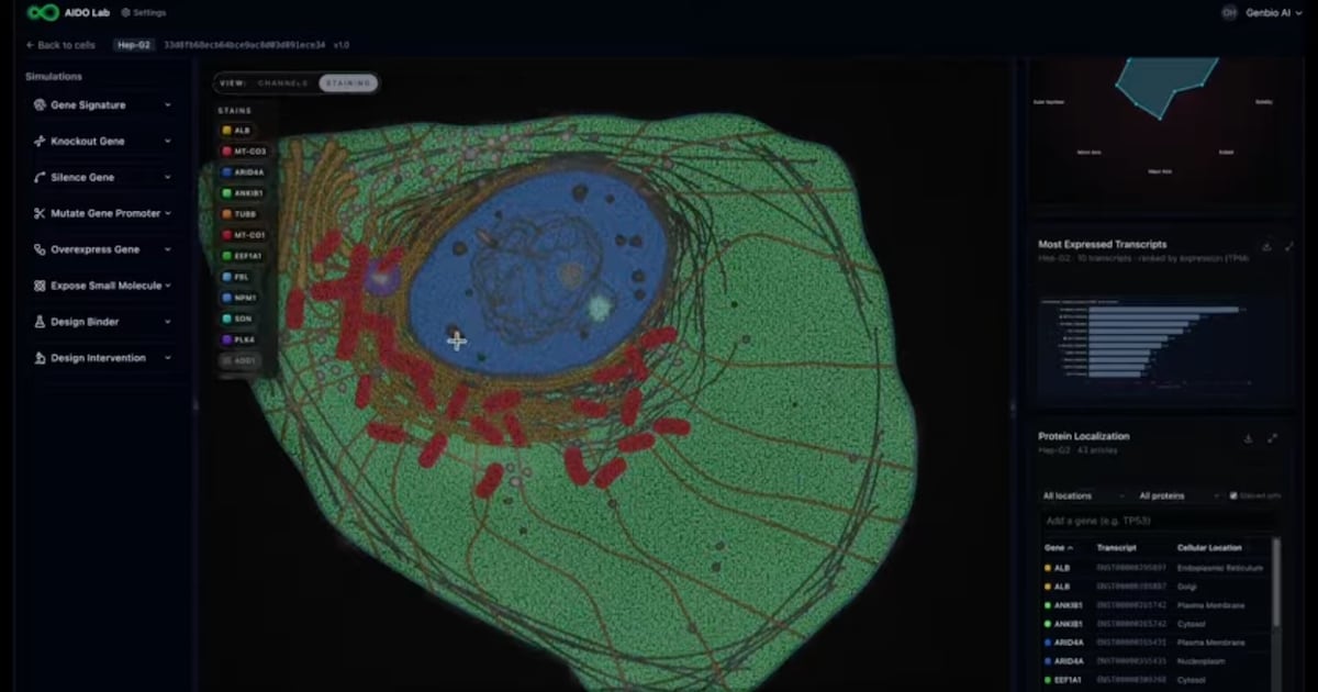 Photo: thenationalnews.com GenBio AI has high hopes for future iterations of what it is calling AIDO Cell, a general-purpose simulator for cell biology
