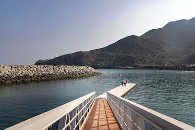 Sharjah wants to surround the mountains of Khor Fakkan with lush forestry. Antonie Robertson /The National