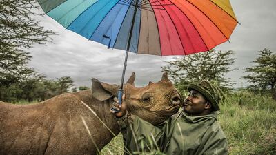 In 'Kamara and Kilifi', Kamara is nuzzled by black rhino Kilifi who he hand-raised along with two other baby rhinos at Lewa Wildlife Conservancy in Kenya. Photographer: Ami Vitale