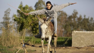 “A donkey is very stubborn. If he knows that he cannot pass a barrier he will not even try, no matter what you do.”