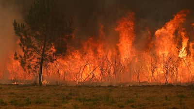 A wildfire ravaging the forest north of the Arcachon Basin since July 22 is now threatening the outskirts of Bordeaux, France. AFP